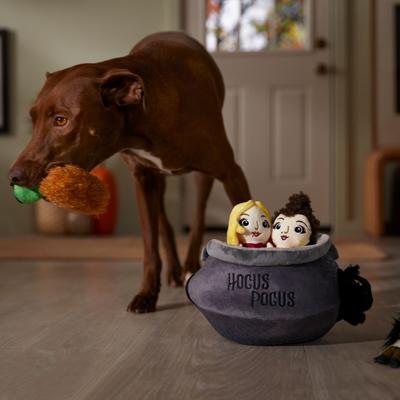 Show full view: Disney Halloween Hocus Pocus Cauldron Hide & Seek Puzzle Plush Toy Squeaky Dog Toy, Medium/Large slide 4 of 7