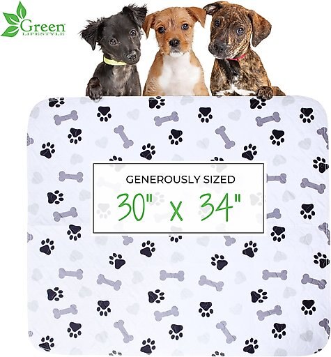 Green Lifestyle Printed Reusable Cat & Dog Pee Pads, Blue & White, 30 x 34-in, 2 count