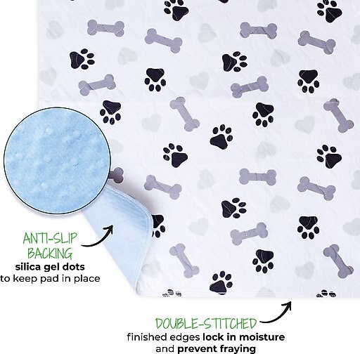Green Lifestyle Printed Reusable Cat & Dog Pee Pads, Blue & White, 30 x 34-in, 2 count