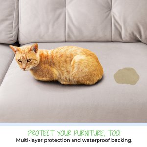 Green Lifestyle Printed Reusable Cat & Dog Pee Pads, Blue & White, 48 x 48-in, 2 count