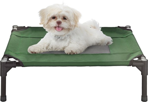 Pet Adobe Cot-Style Elevated Pet Bed, Green, 24.5-in slide 1 of 8