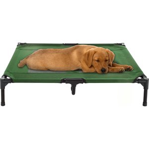 Pet Adobe Cot-Style Elevated Pet Bed, Green, 36-in