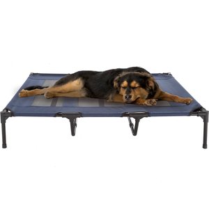 Pet Adobe Cot-Style Elevated Pet Bed, Blue, 48-in