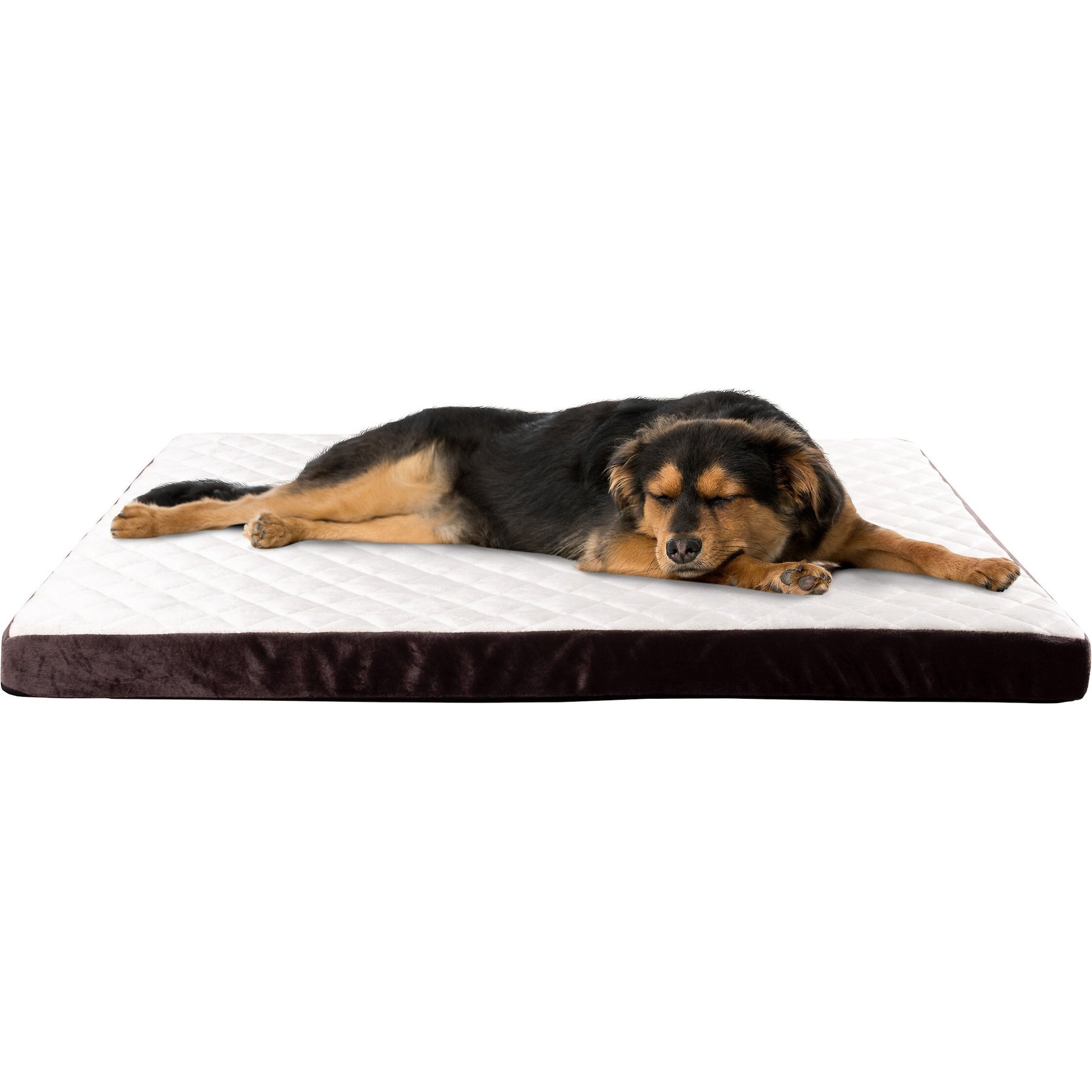 Odor resistant dog blanket hotsell