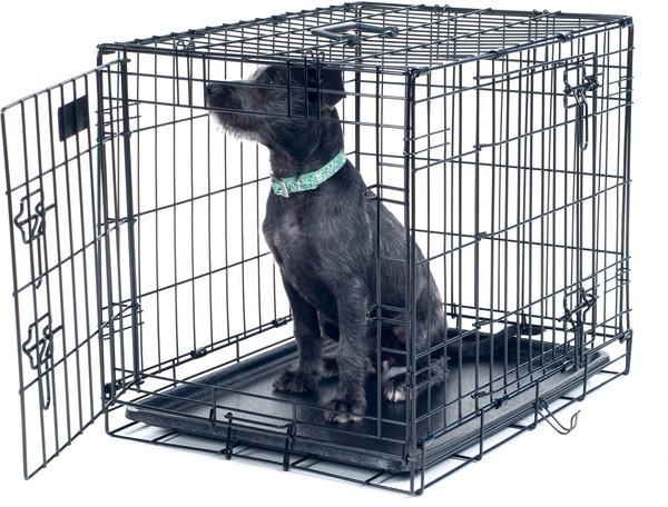 chewy dog crate medium