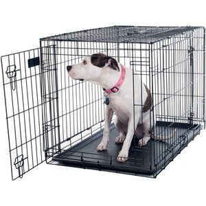 Happy Ride® Collapsible Travel Crate - Great Gear And Gifts For Dogs at  Home or On-The-Go