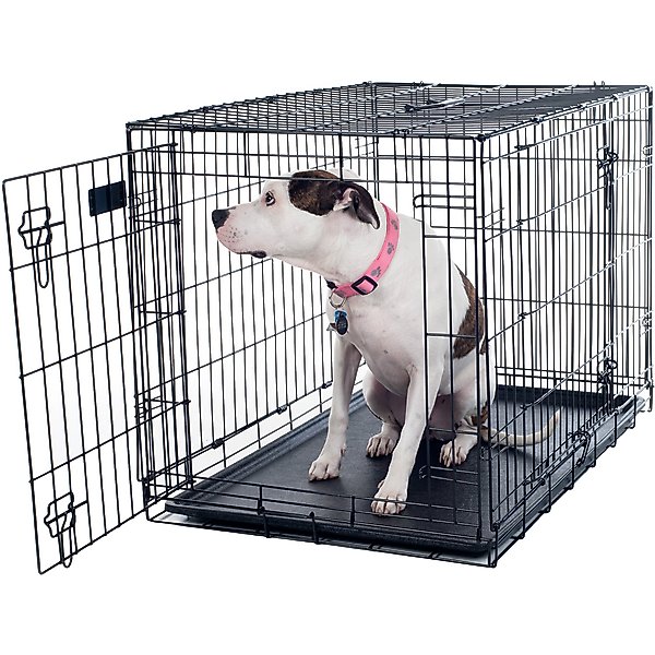 PETSAFE Happy Ride Collapsible Cat & Dog Travel Crate, Gray & Blue