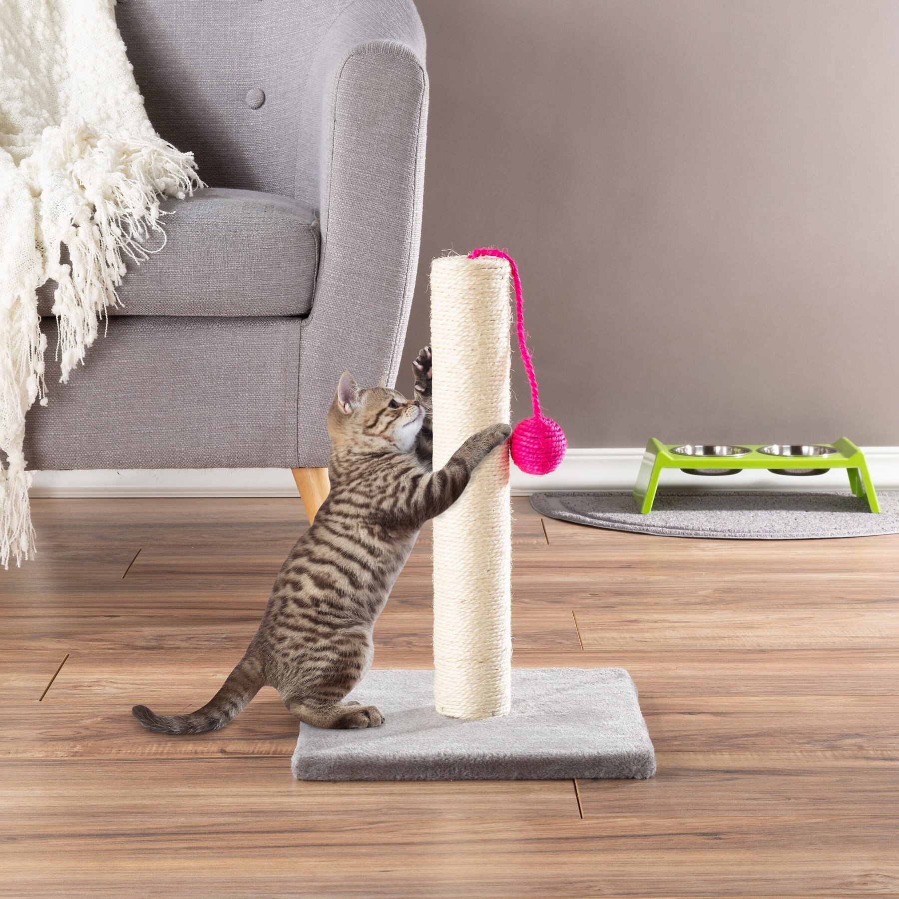 Molly & Friends 17-in Carpet Cat Scratching Post