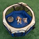 Pet Adobe Portable Pop-Up Dog & Cat Playpen, Blue, Small