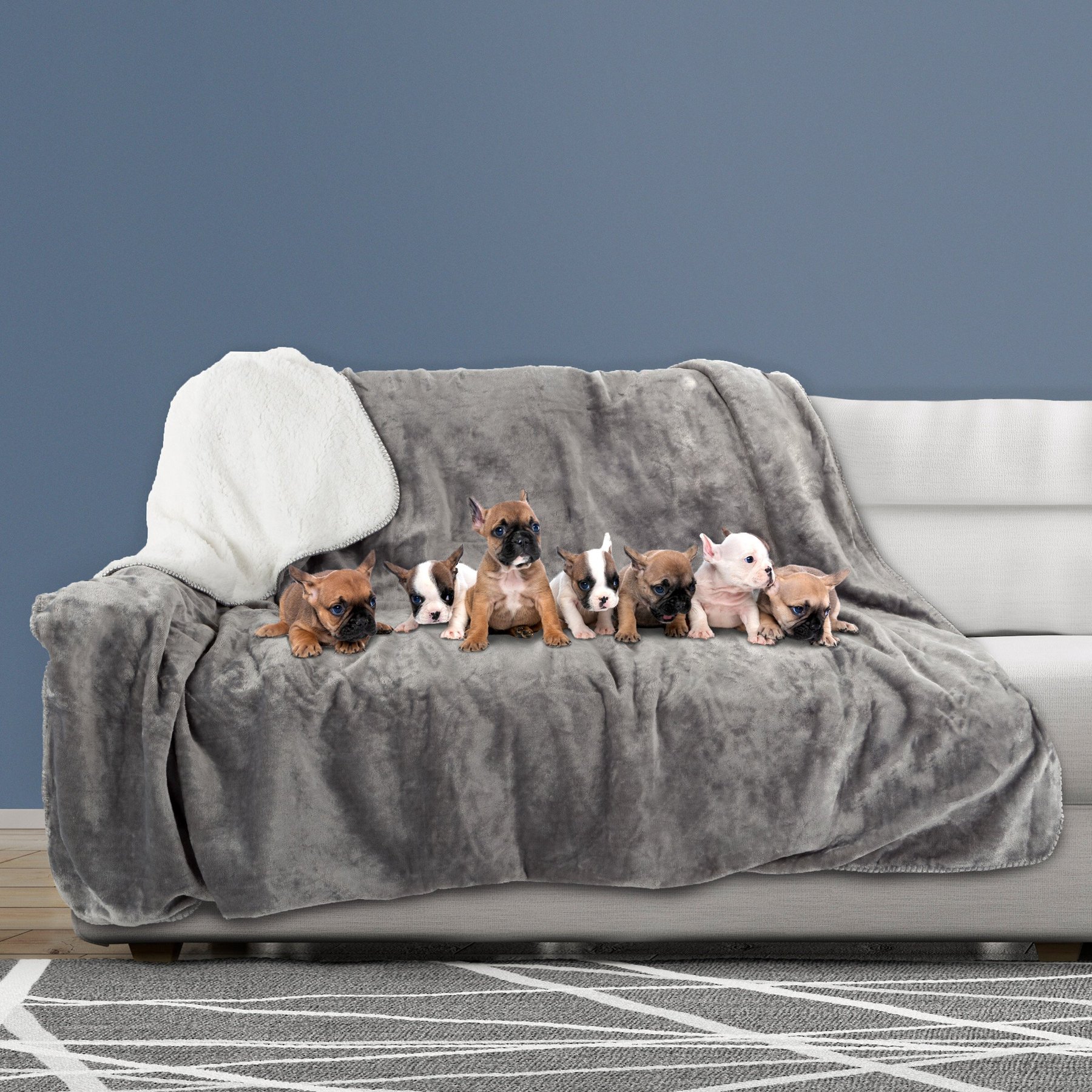 Doggy Decor: The Ultimate Guide to Waterproof Pet Throws