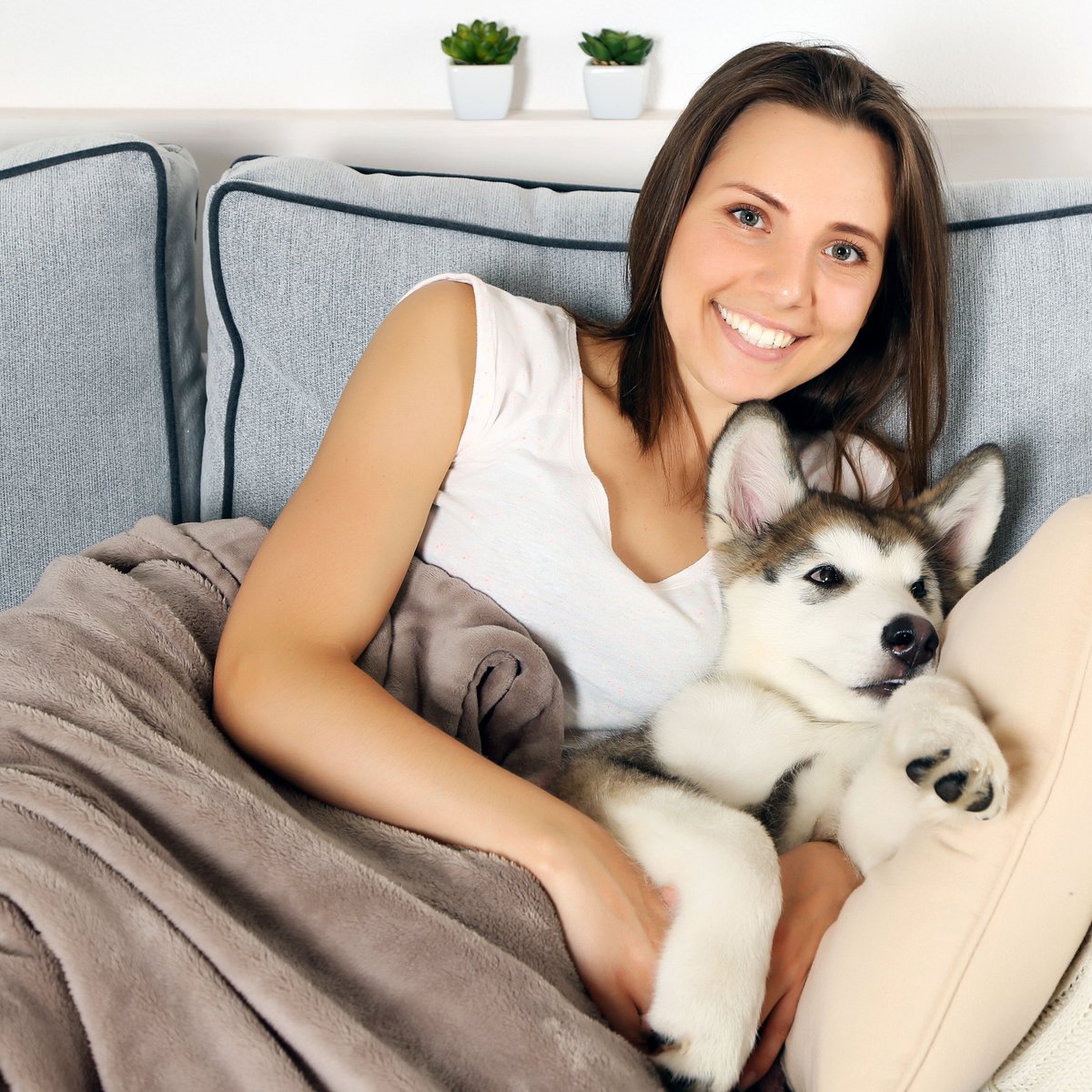 Chewy dog outlet blanket