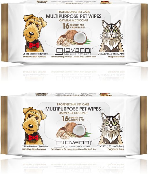 Giovanni Professional Multipurpose Oatmeal & Coconut Dog & Cat Wipes, 75 count, case of 2 slide 1 of 1