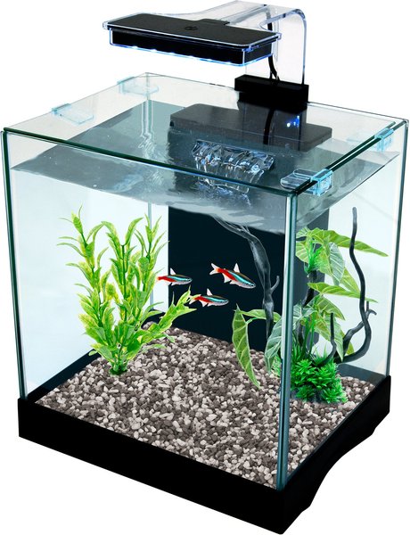 CASCADE All-in-One Desktop Glass Tank Kit, 3.2-gal, Black -