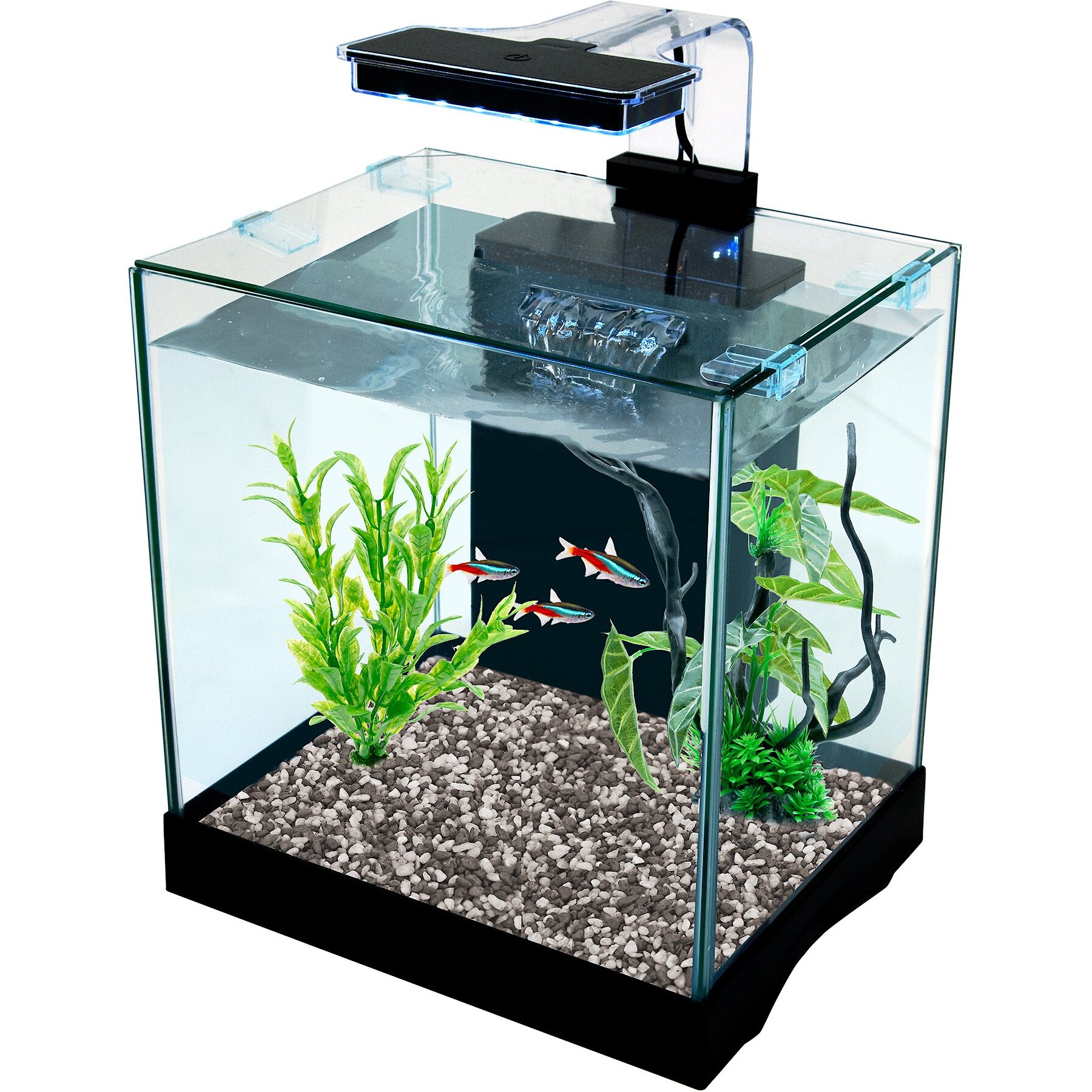 Tetra Glass Deluxe Aquarium Kit, 10 Gallon