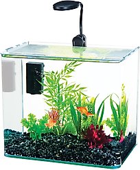 Radius Curved Corner Glass Aquarium Kit, Black, 3.4 gal