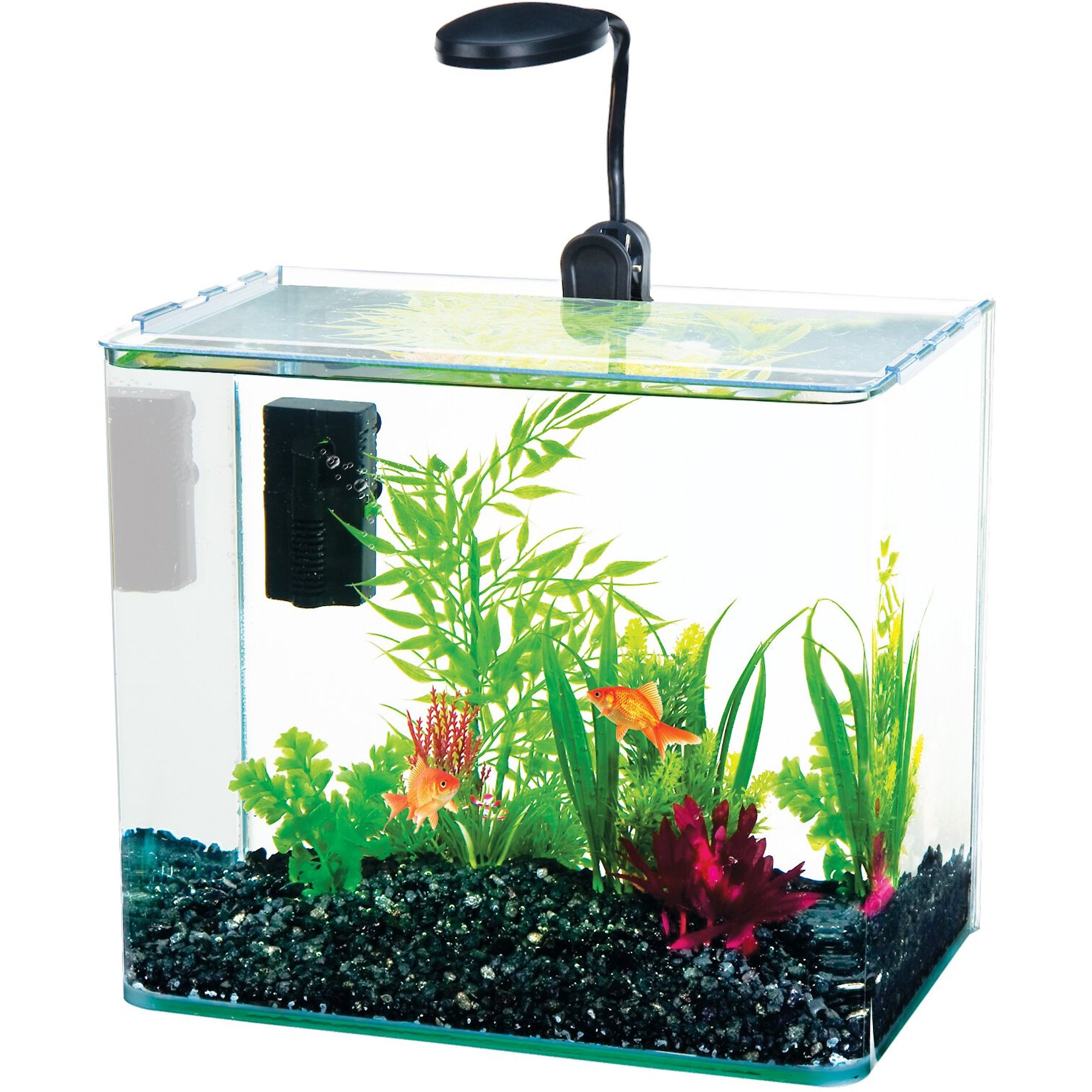 Penn Plax Curved Corner Glass Aquarium Kit, Clear
