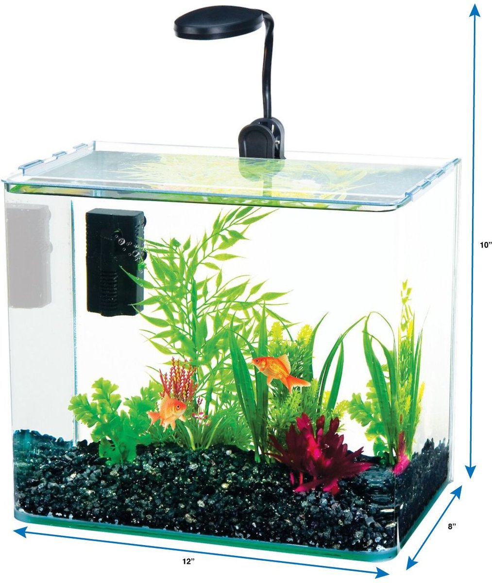 Curved glass outlet aquarium