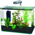 RADIUS Curved Corner Glass Aquarium Kit, Black, 5-gal - Chewy.com