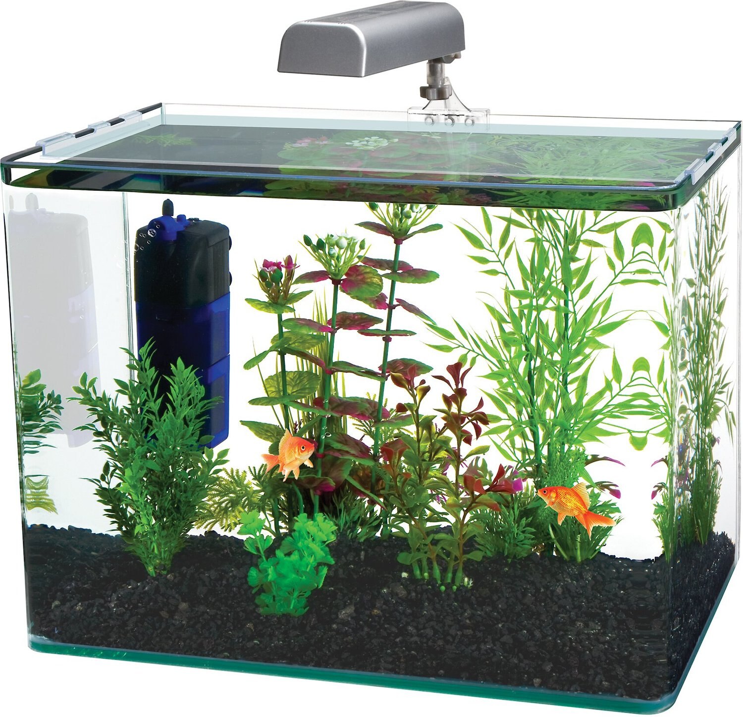 RADIUS Curved Corner Glass Aquarium Kit, Black, 7.5-gal - Chewy.com