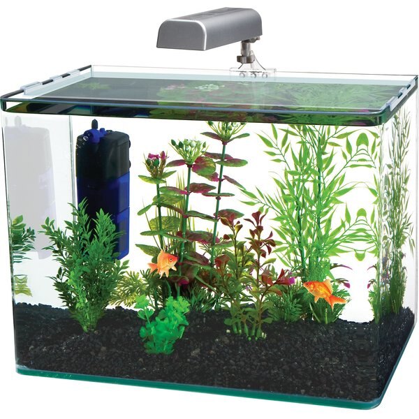 RADIUS Curved Corner Glass Aquarium Kit, Black, 7.5-gal - Chewy.com