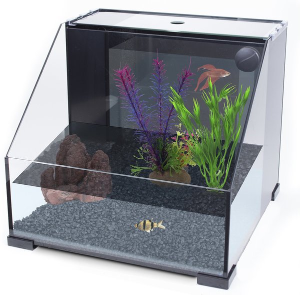 Chewy clearance aquarium decorations