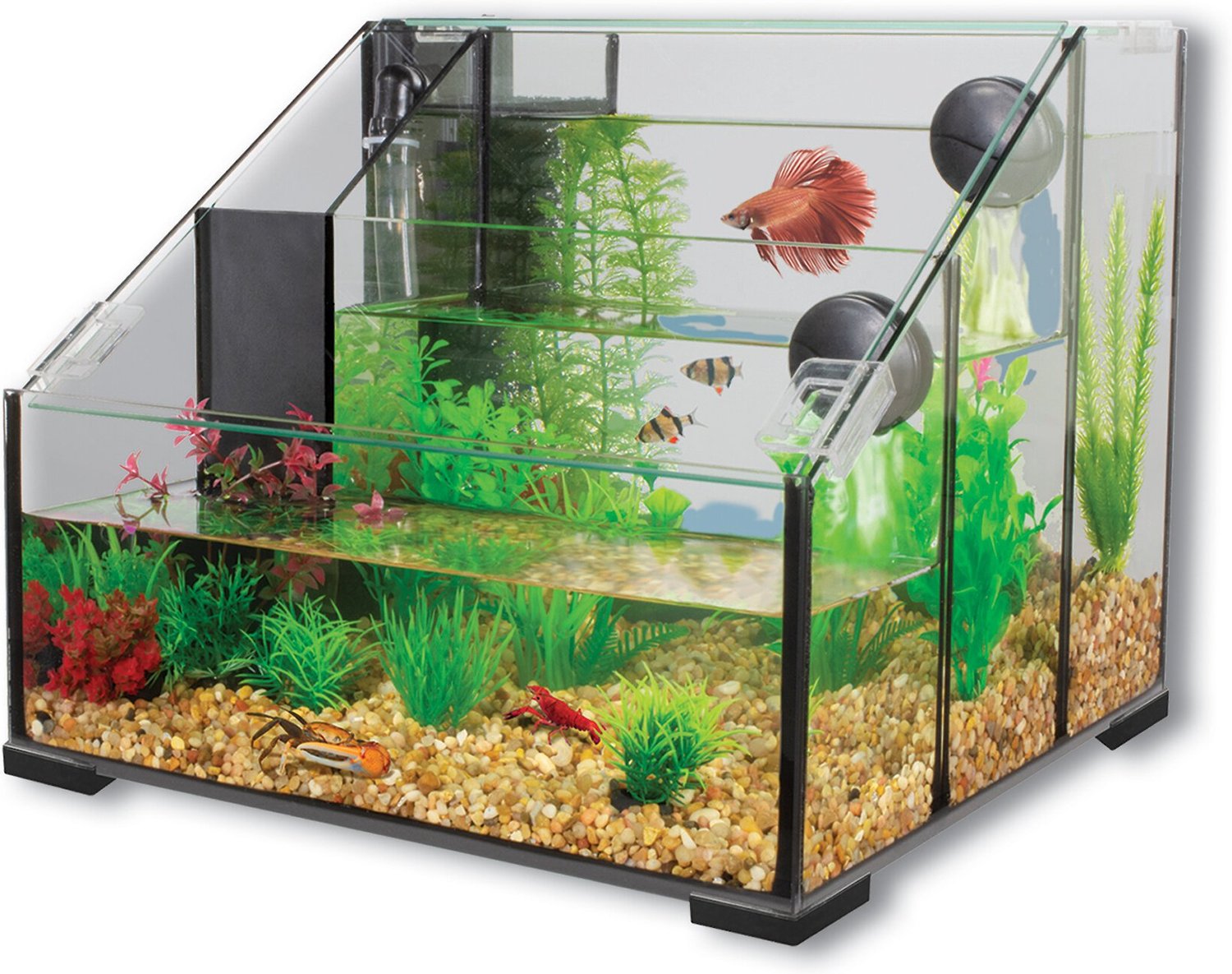 Desktop AquaTerrium 3 Chamber Fish Tank, 3.25-gal - Chewy.com