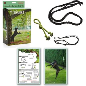 Tumbo Tugger Dog Toy, Green, Large