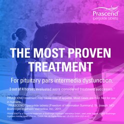 Prascend (Pergolide) Tablets for Horses, 1-mg, 60 tablets slide 2 of 6