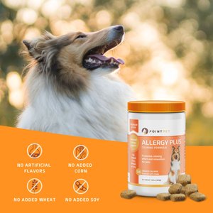 PointPet Allergy Plus Calming Smoked Salmon Flavored Seasonal Allergy Support Soft Chew Dog Supplement, 120 Count