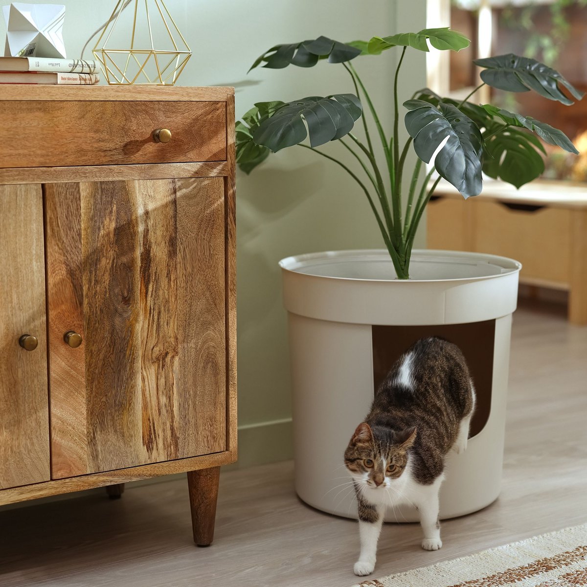 Hidden cat hot sale litter box plant