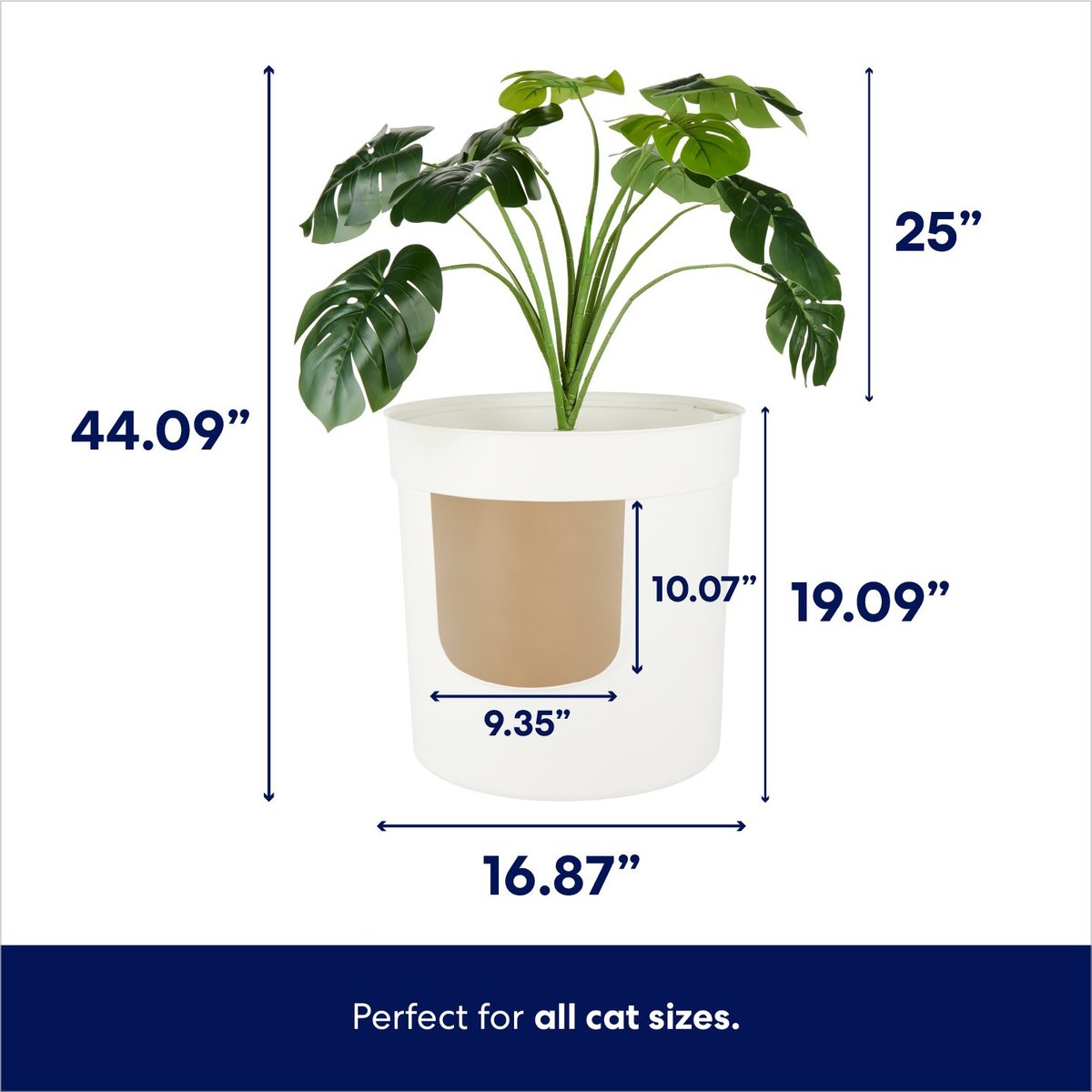 Chewy plant best sale litter box