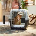 MidWest Homes for Pet Cat & Dog Carrier Bed, White, 19-in