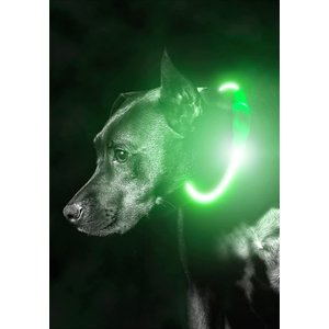 Mighty Paw Light Up LED Dog Necklace, Green
