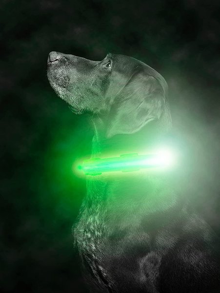 Mighty Paw LED Dog Collar, Green, Small slide 1 of 9