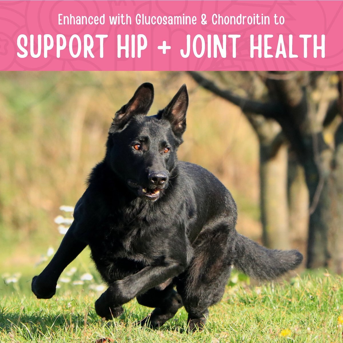 FULL MOON Hip & Joint Health Chicken Jerky HumanGrade Dog Treats, 12