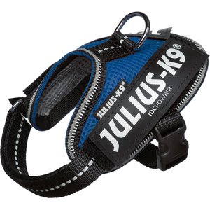 Julius-K9 IDC Powerair Dog Harness, Blue, Baby 1: 11.5 to 14-in chest