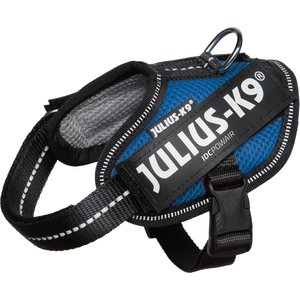 Julius-K9 IDC Powerair Dog Harness, Blue, Baby 2: 13 to 17.5-in chest