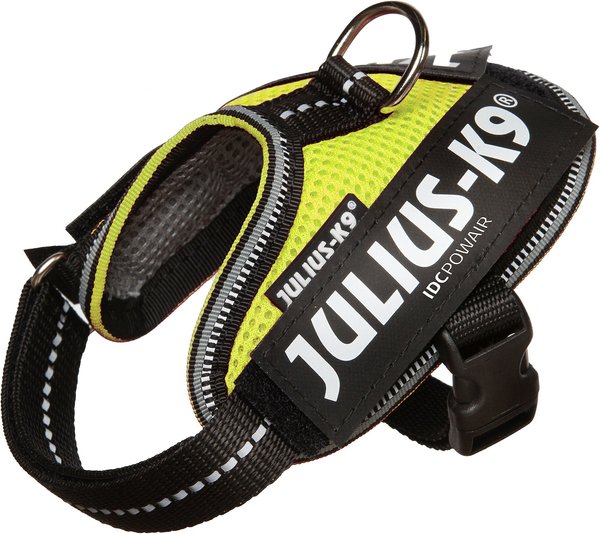 Julius-K9 IDC Powerair Dog Harness, Neon, Baby 1: 11.5 to 14-in chest slide 1 of 1