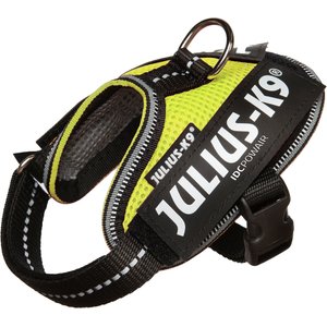 Julius-K9 IDC Powerair Dog Harness, Neon, Baby 1: 11.5 to 14-in chest