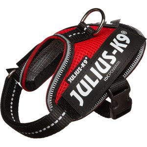 Julius-K9 IDC Powerair Dog Harness, Red, Baby 1: 11.5 to 14-in chest