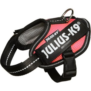 Julius-K9 IDC Powerair Dog Harness, Pink, Baby 2: 13 to 17.5-in chest