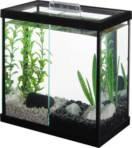 Frisco 2 Betta Aquarium with Divider/Top, 1-gal slide 1 of 5