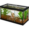 Betta Fish Tanks & Aquarium Kits