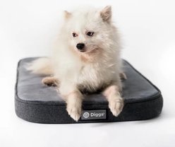 Diggs Snooz Dog Crate Mat, Dark Grey, Small