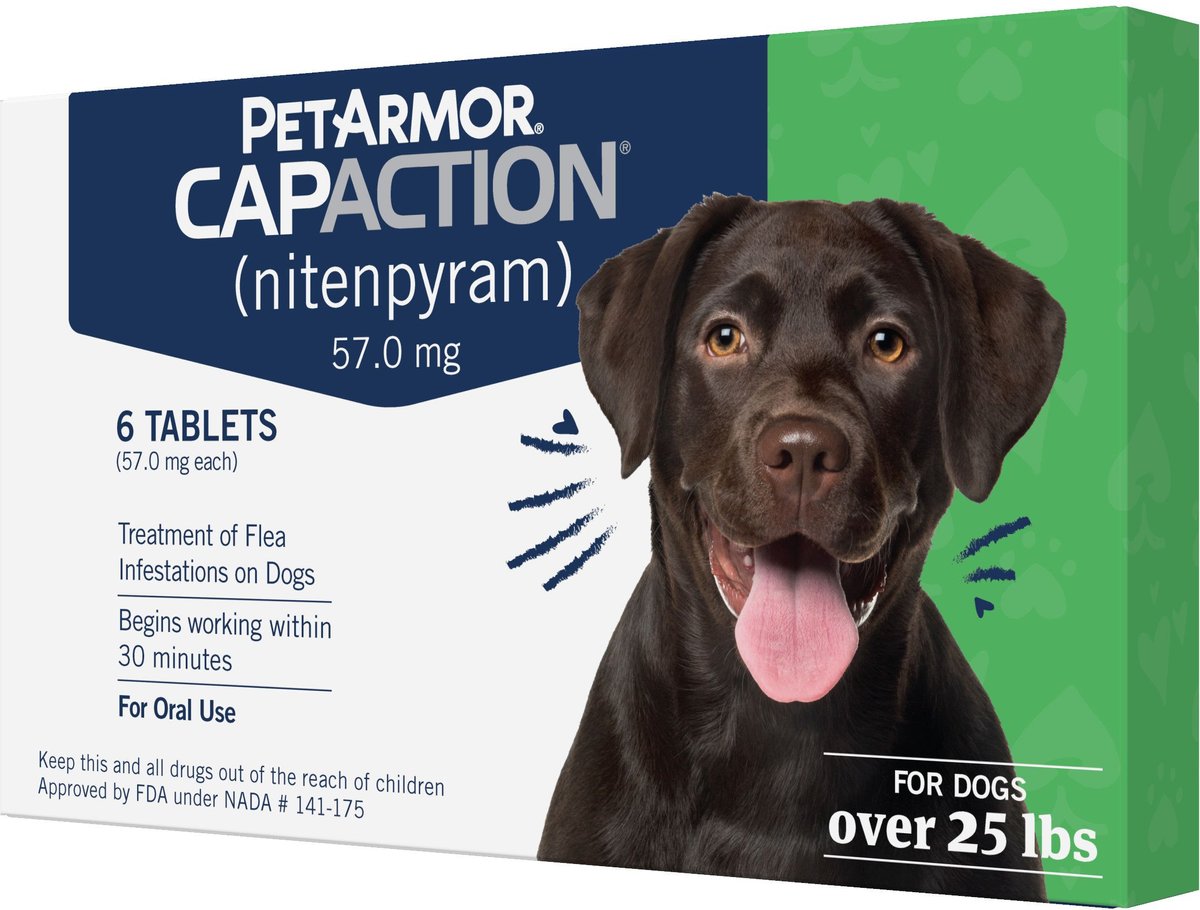 Internal flea treatment outlet for dogs