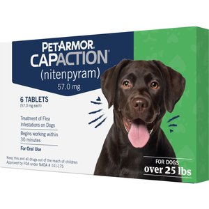 PetArmor 7 Way Dewormer for Hookworms, Roundworms & Tapeworms for Medium &  Large Breed Dogs