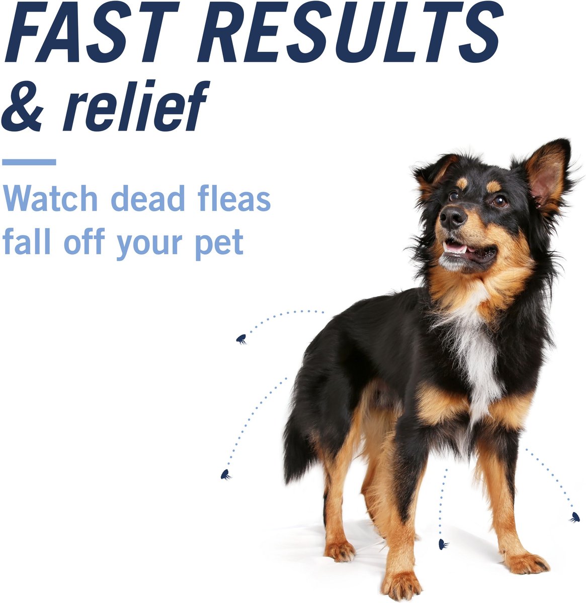 Cap action flea pills for outlet dogs