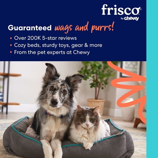Frisco Travel Safety Dog  & Cat Carrier, Medium