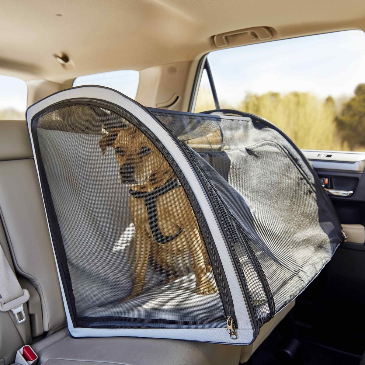 Travel crates for dogs in clearance cars