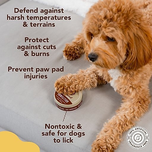 Natural Dog Company PawTection Dog Paw Protector Balm, 1-oz tin